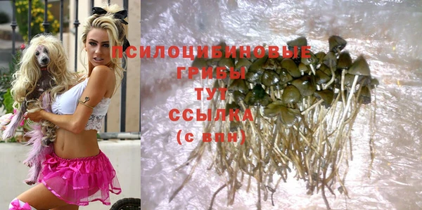 дмт Алексин