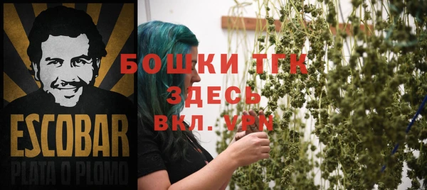 дмт Алексин