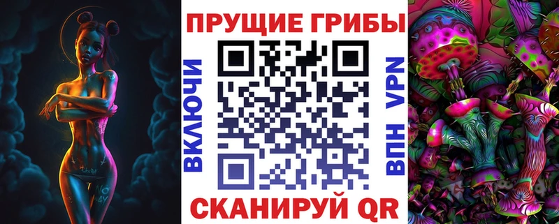 Псилоцибиновые грибы Psilocybine cubensis  Кизилюрт 