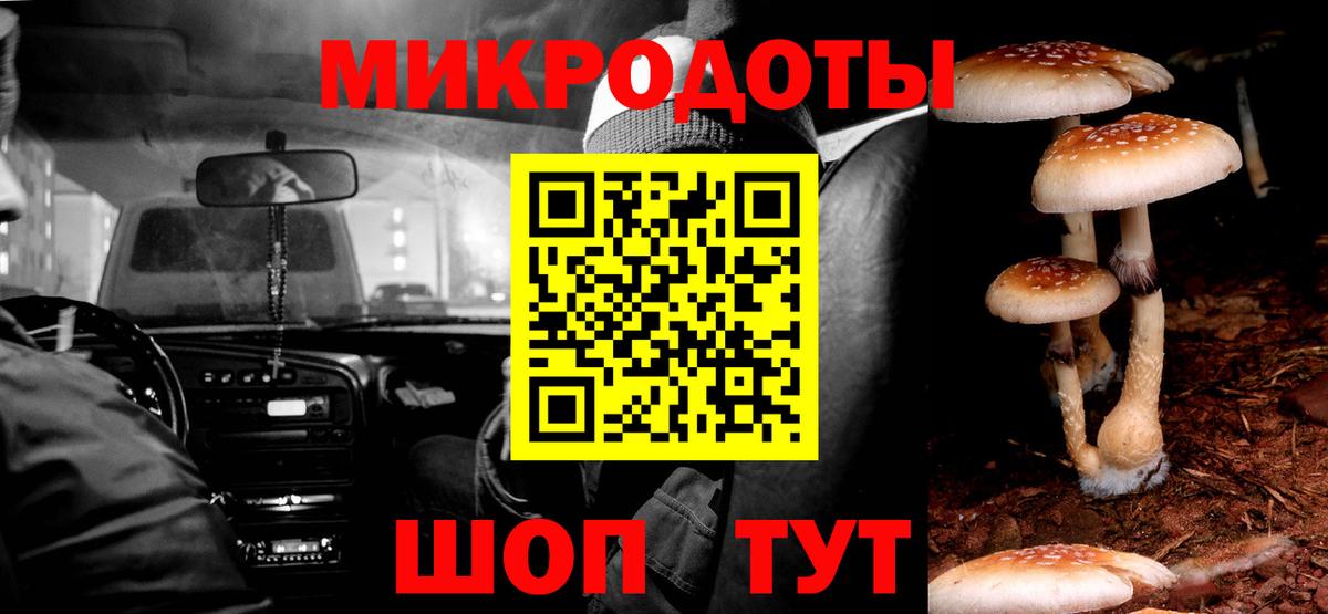 Кизилюрт  Псилоцибиновые грибы ЛСД  Галлюциногенные грибы прущие грибы  Вход с VPN 
